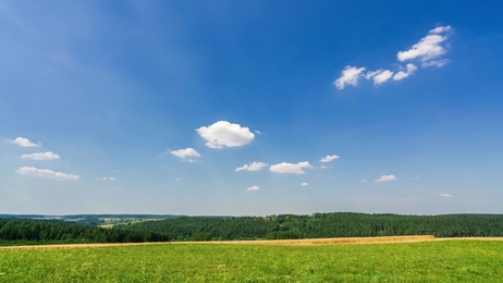 singetreeinthefieldinsummeramazingtimelapseofcloudsinasunnyday