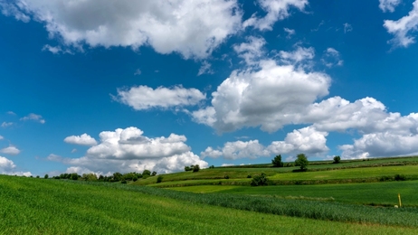 whitecloudsagainstablueskyoveratimelapsecanolafieldsummersunny