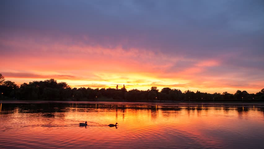 danm12的全部作品,总计22个